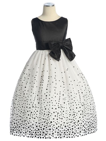 ������� ������ "�����"